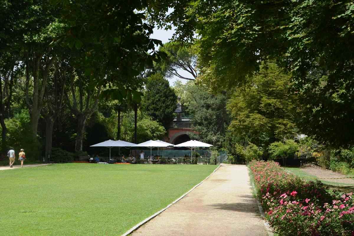 Campo del Moro